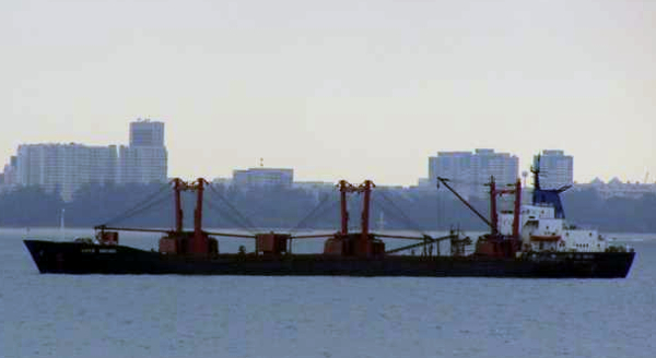 White Orchid - Shipspotting White Orchid - Shipspotting